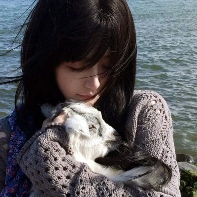 三生三世十里桃花2017